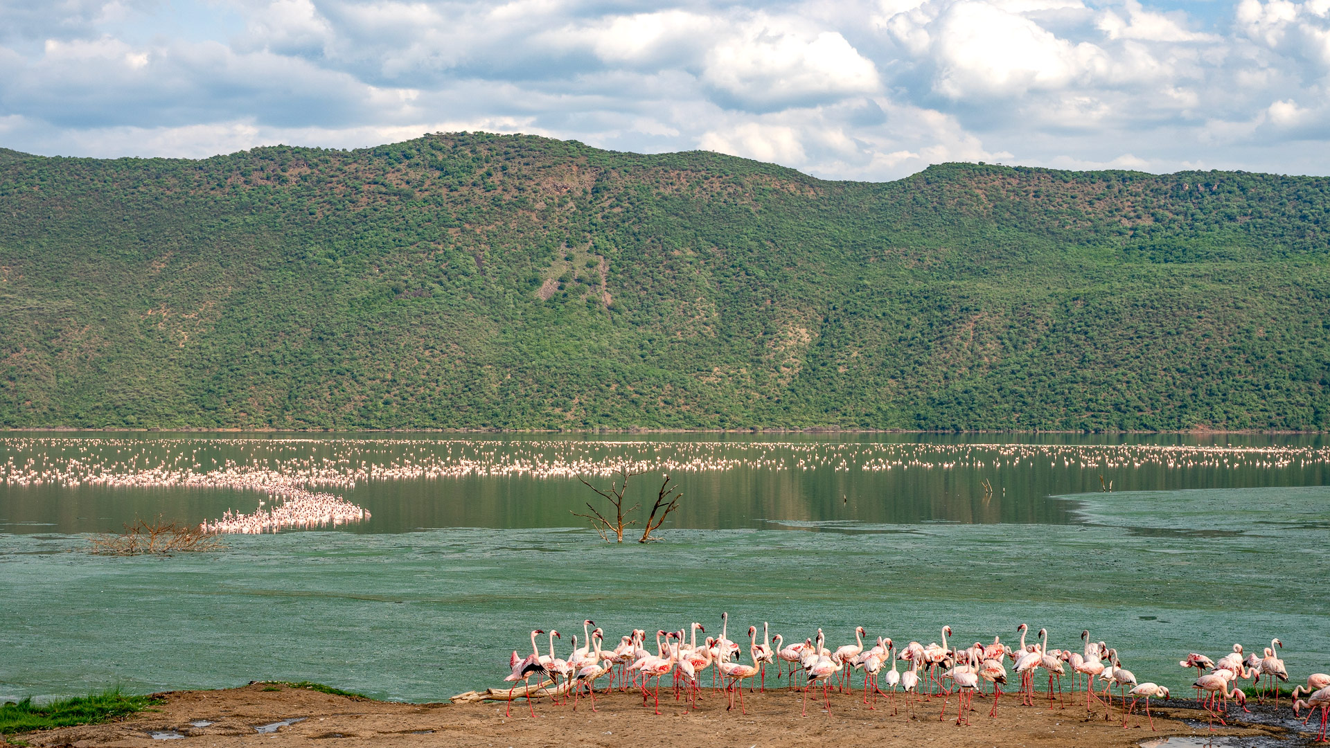 Safari to Lake Baringo