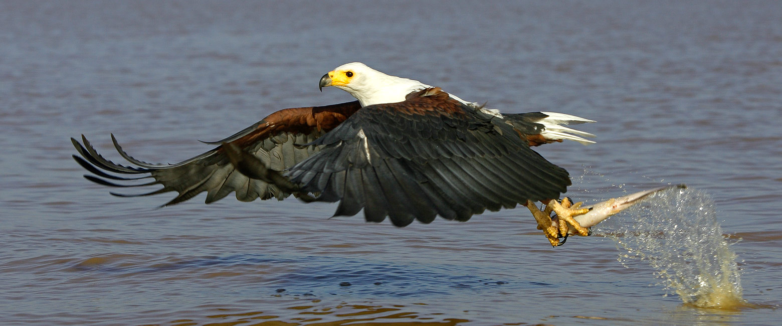 is a large and scenic lake at the Central Rift Valley 