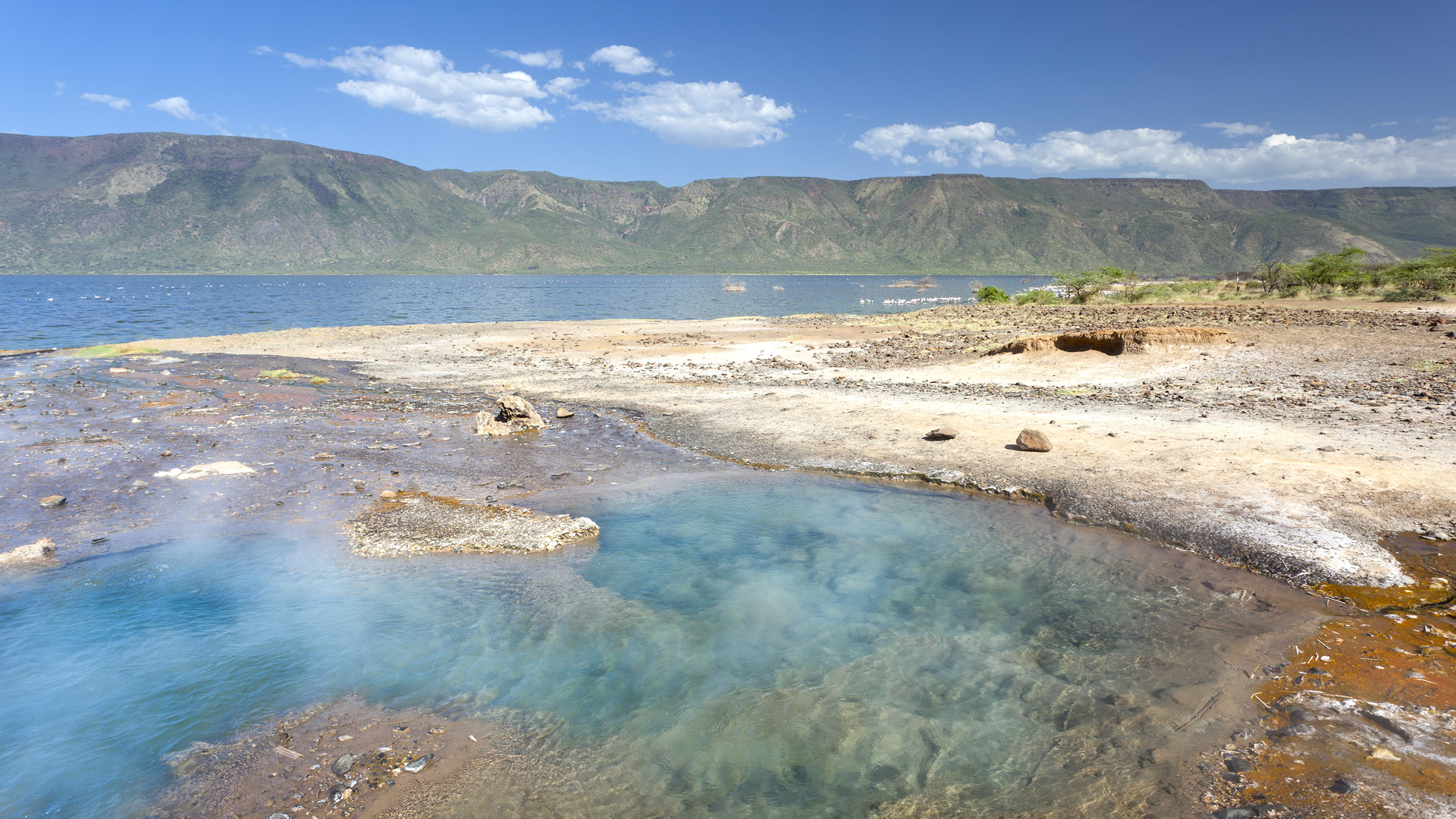 Safari to Lake Bogoria