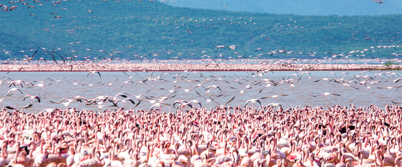 is a modestly interesting lake with geysers and flamingos