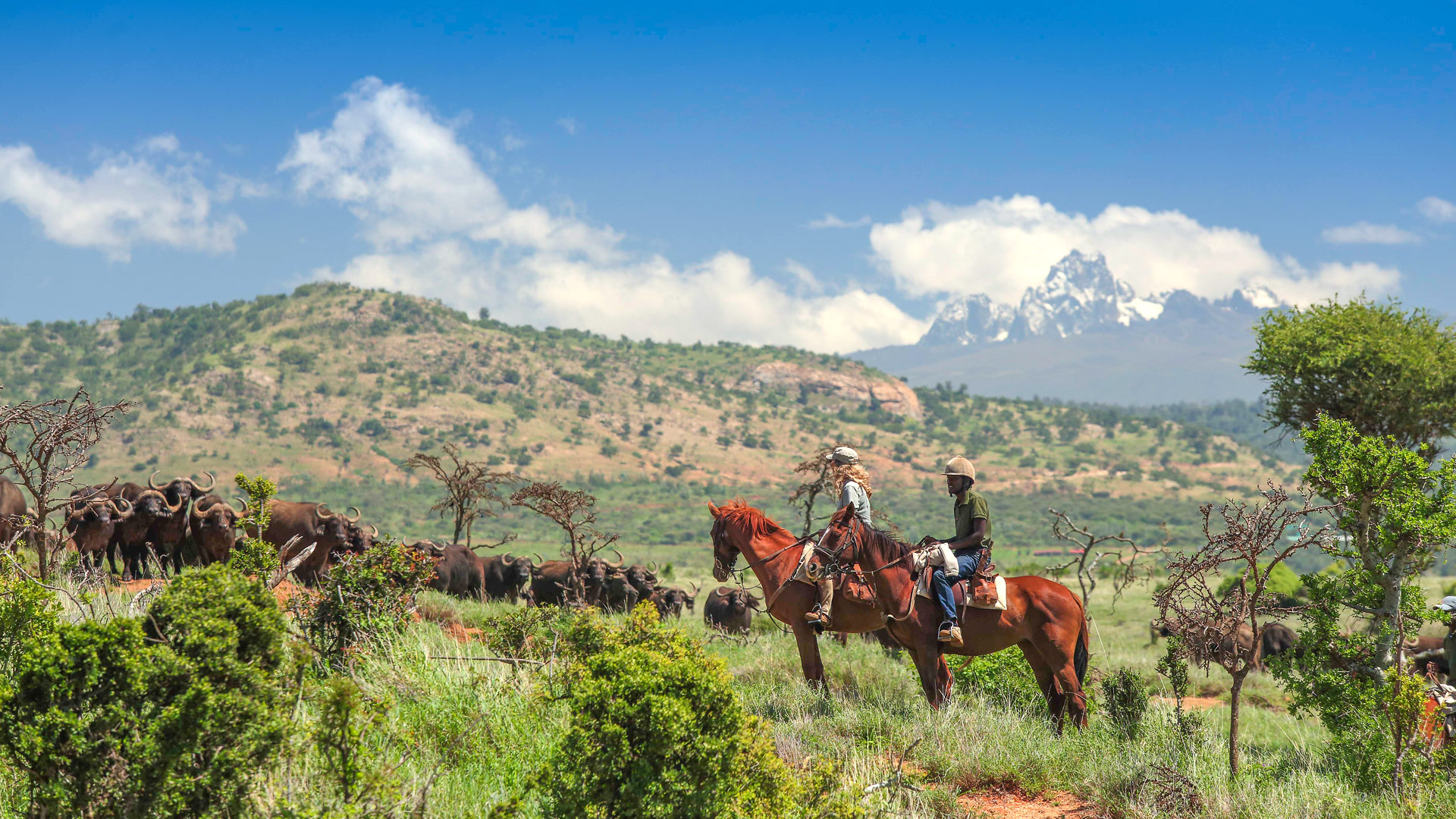 Safari in Borana