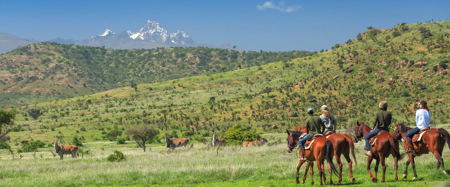 let us know your thoughts about Kenya and we will help you create the perfect safari 