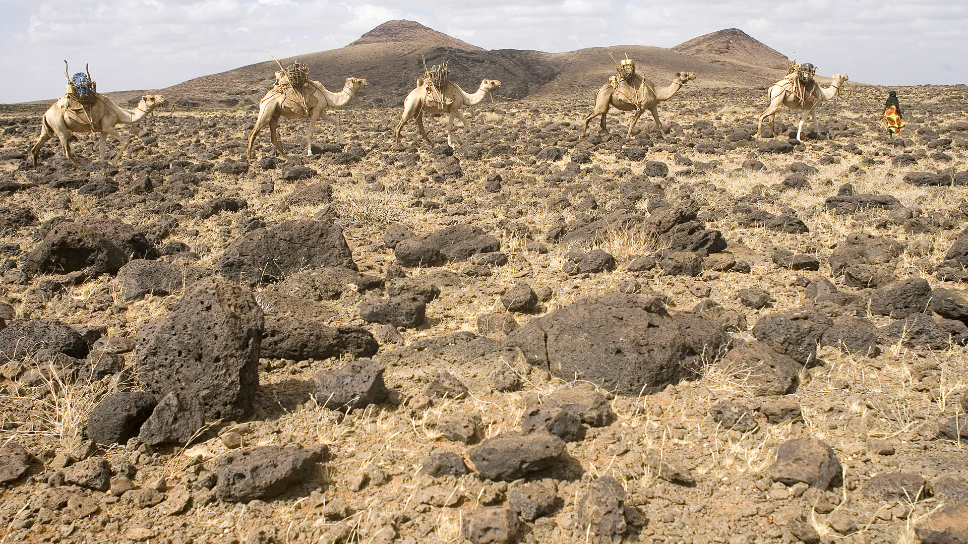 Travel to Chalbi Desert