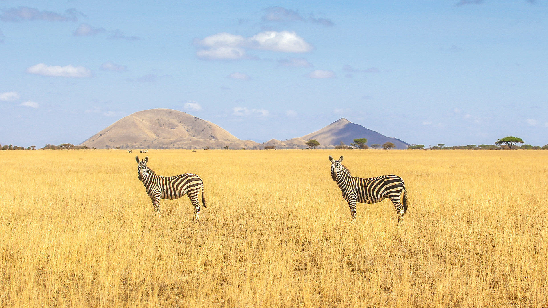 ol Donyo Lodge