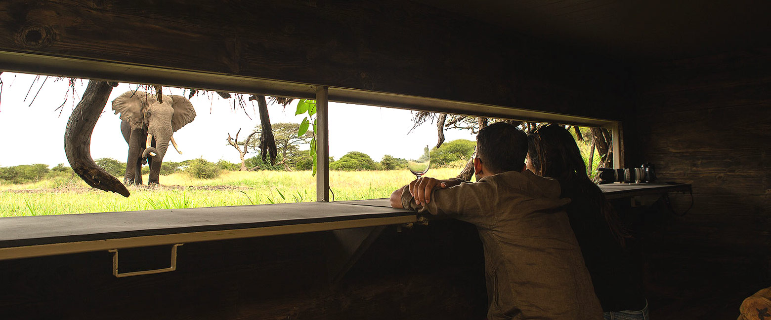 is an extremely high quality operation in the Chyulu Hills area