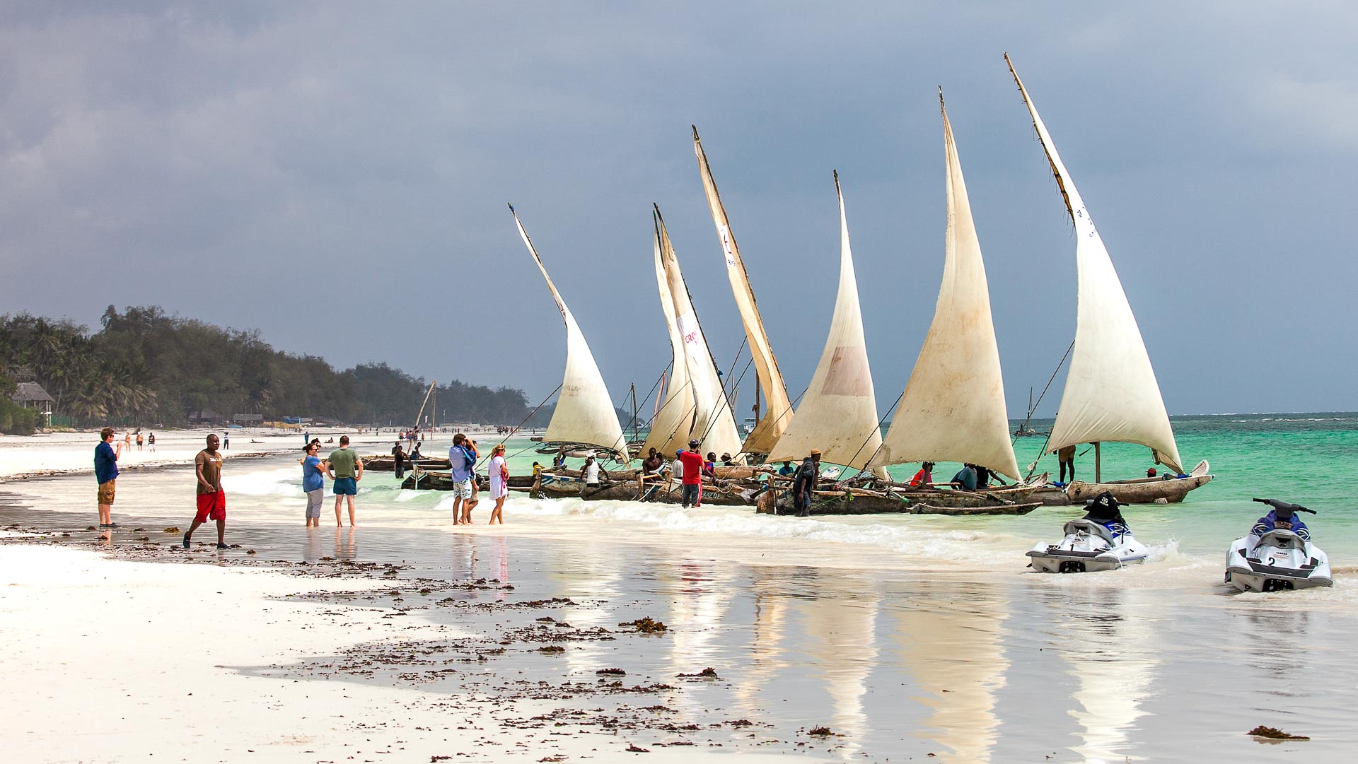 Diani Marine ATR diani-marine-atr