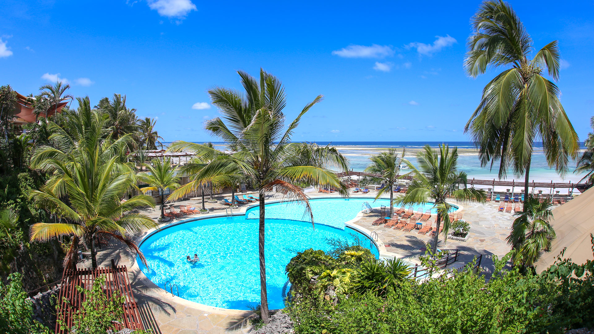 Leopard Beach
