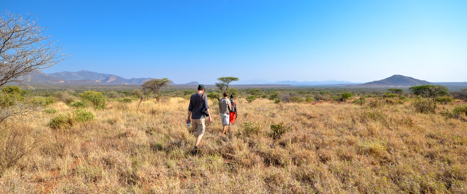 let us know your thoughts about Kenya and we will help you create the perfect safari