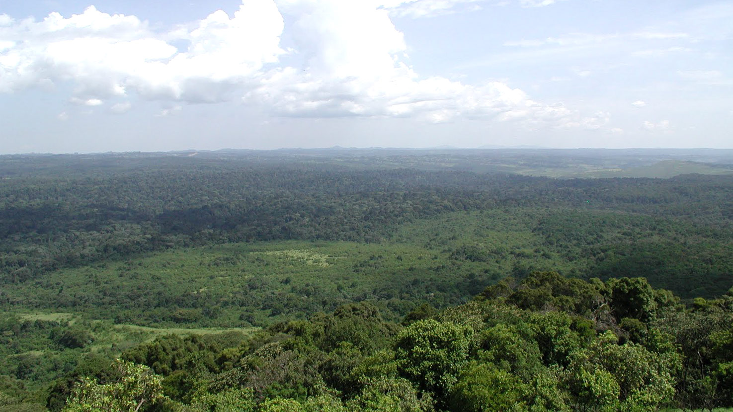 Safari to Kakamega Forest