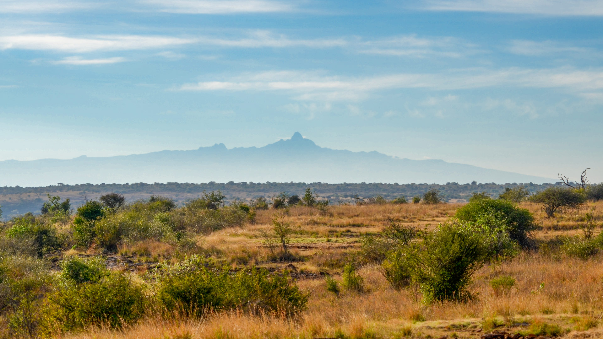 Safari to Laikipia North