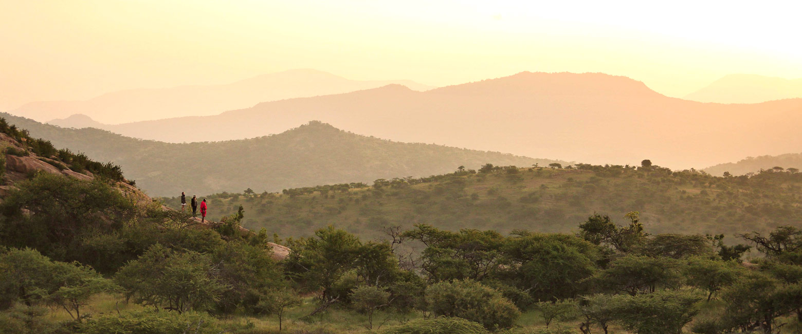 let us know your thoughts about Kenya and we will help you create the perfect safari 