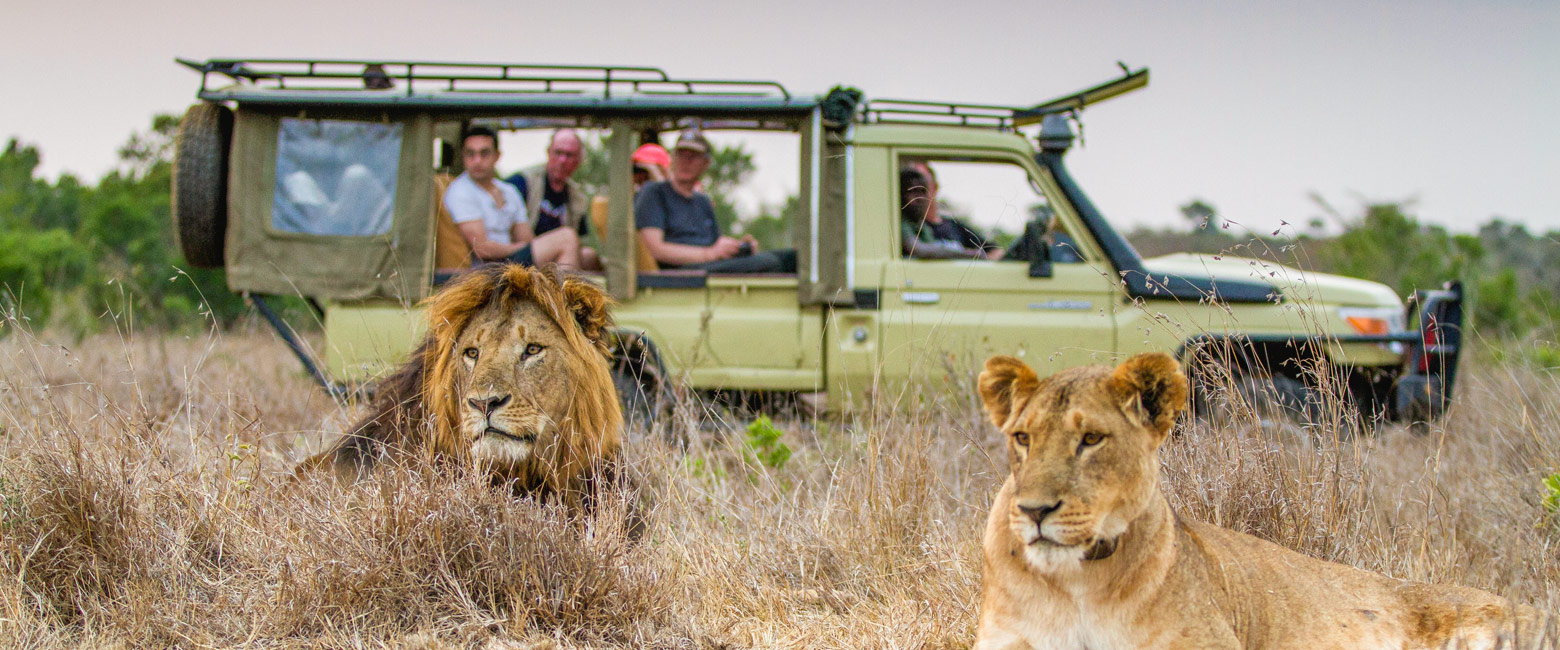 let us know your thoughts about Kenya and we will make sure to deliver the perfect safari 