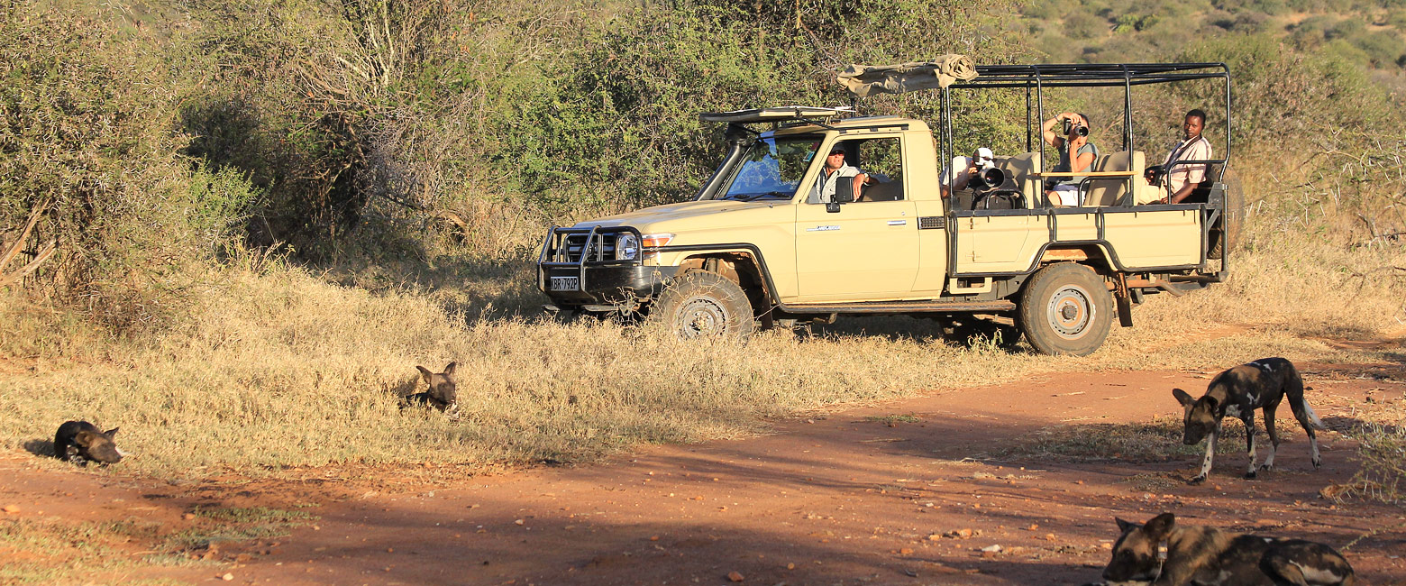 let us know your thoughts about Kenya and we will help you create the perfect safari