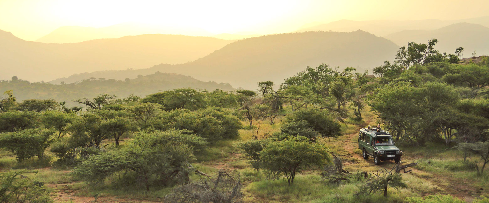 let us know your thoughts about Kenya and we will help you create the perfect safari