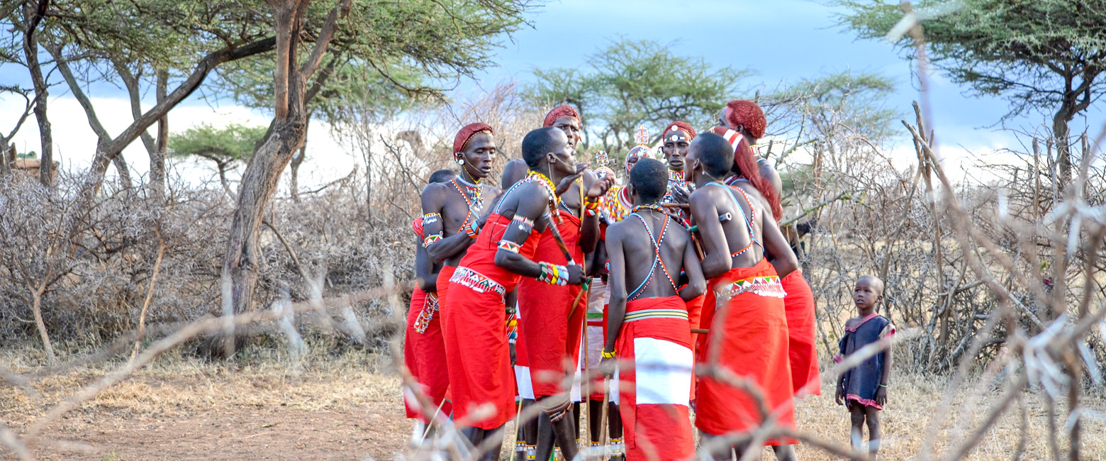 let us know your thoughts about Kenya and we will help you create the perfect safari