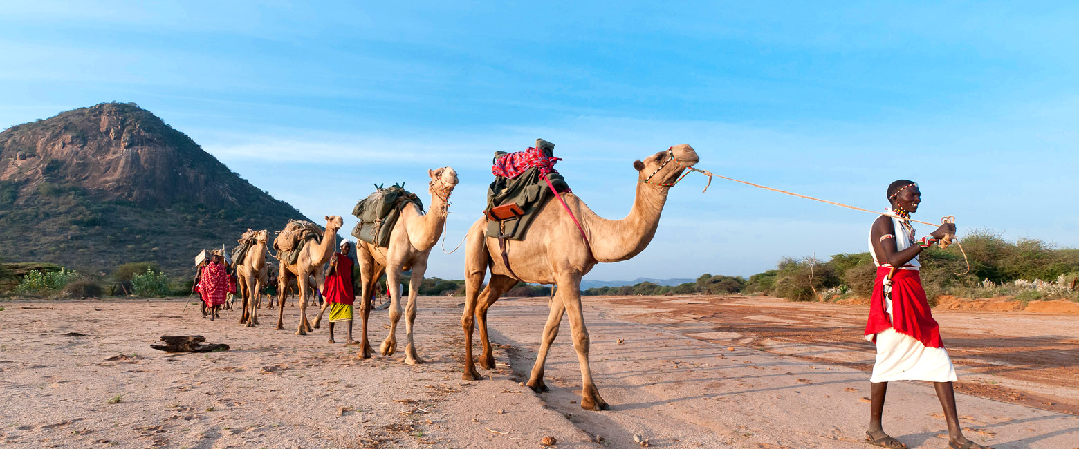 let us know your thoughts about Kenya and we will help you create the perfect safari 