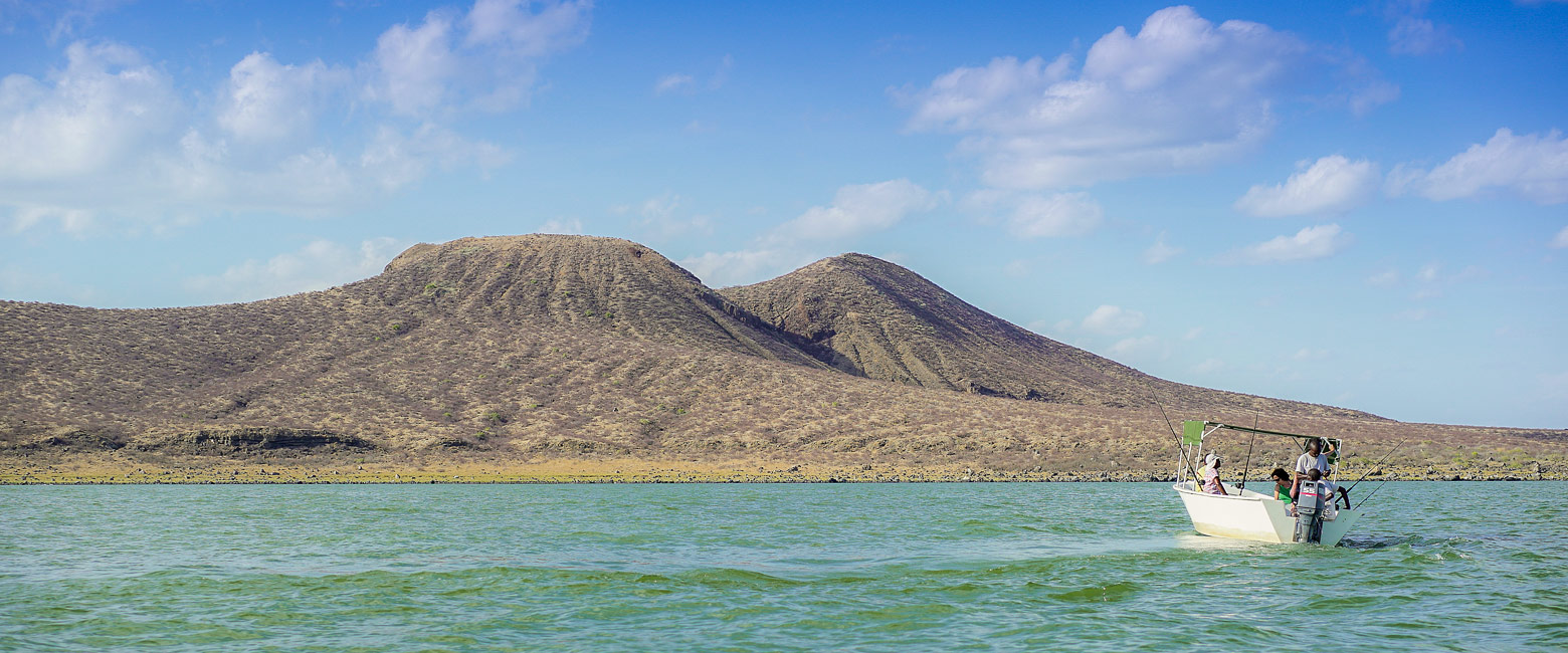 let us know your thoughts about Kenya and we will help you create the perfect safari