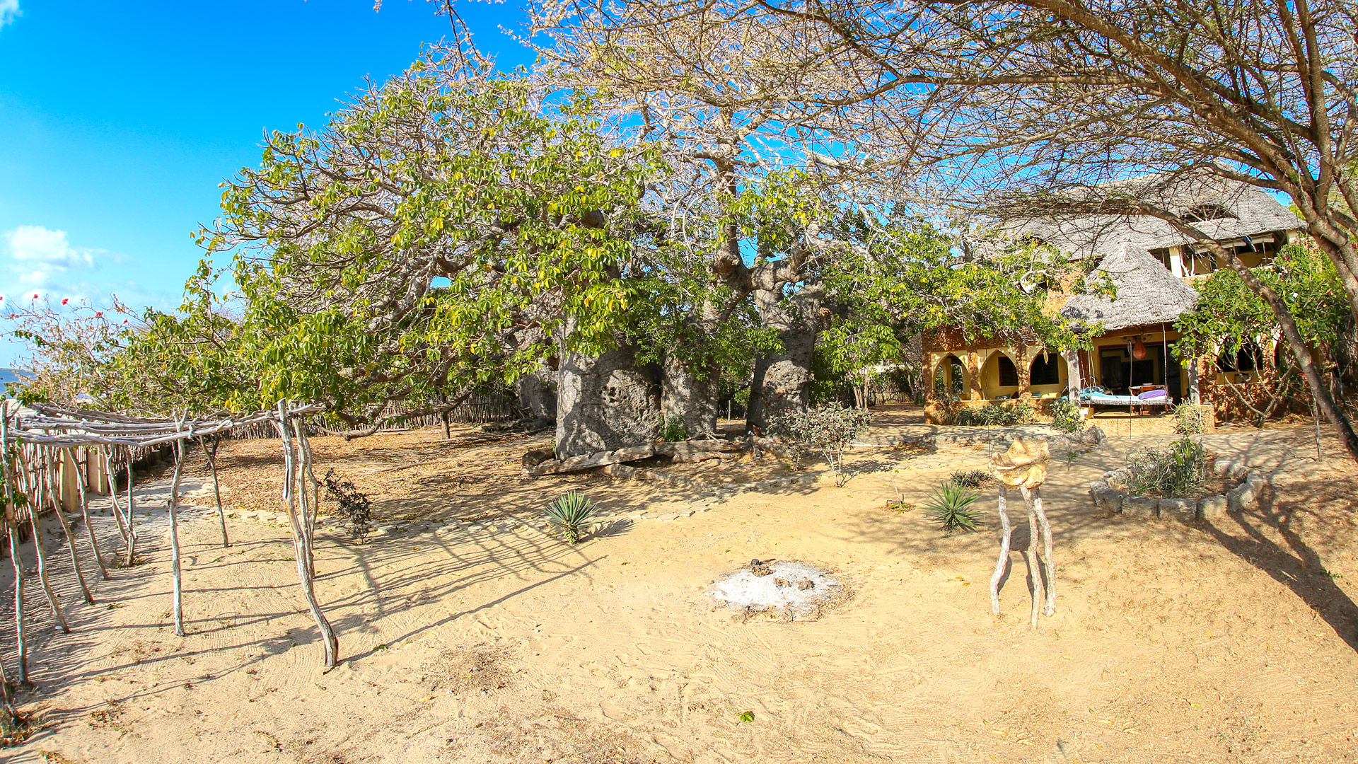 Baobab House