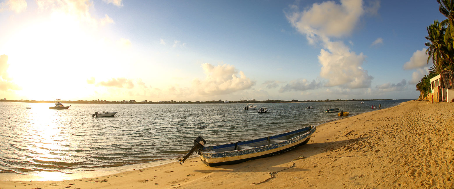 let us know your thoughts about Kenya and we will help you create the perfect safari