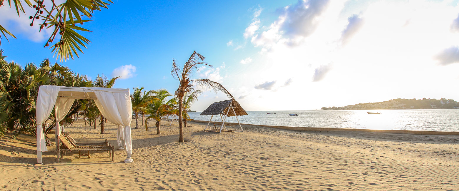 let us know your thoughts about Kenya and we will help you create the perfect safari