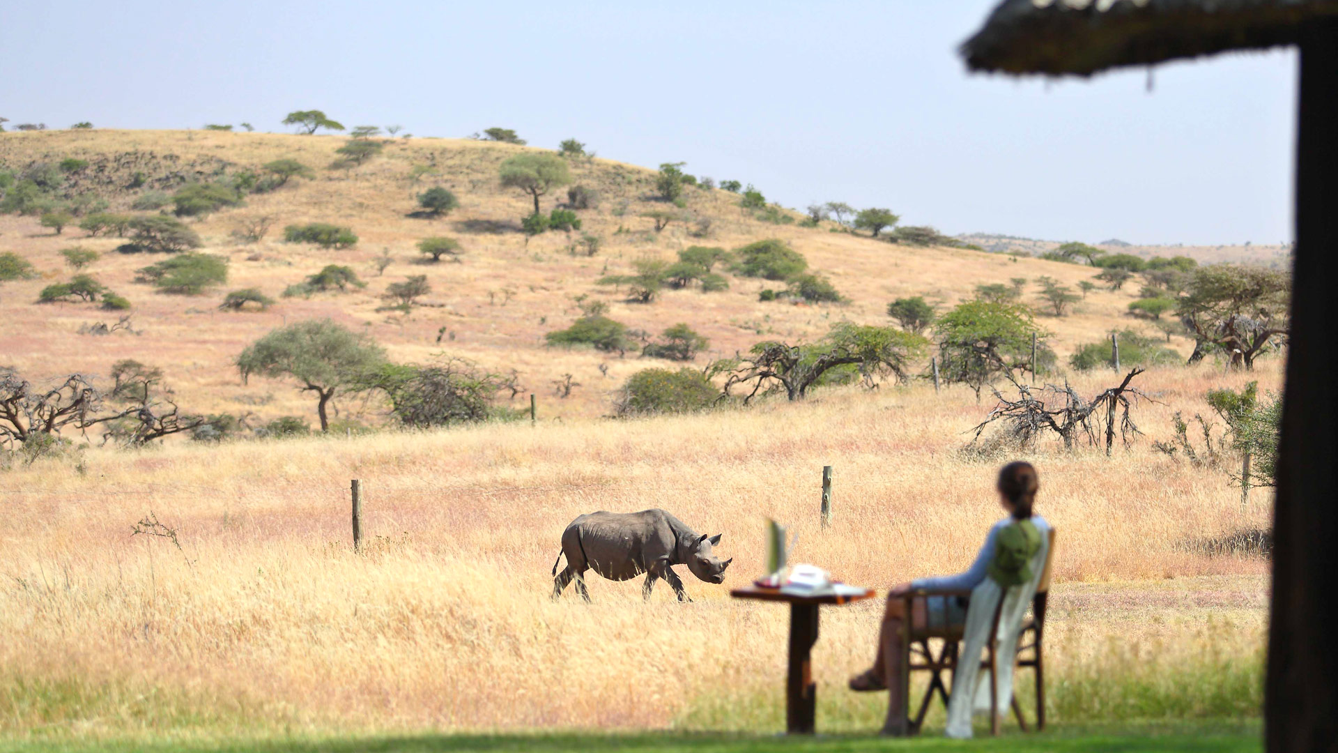 Lewa Kifaru House