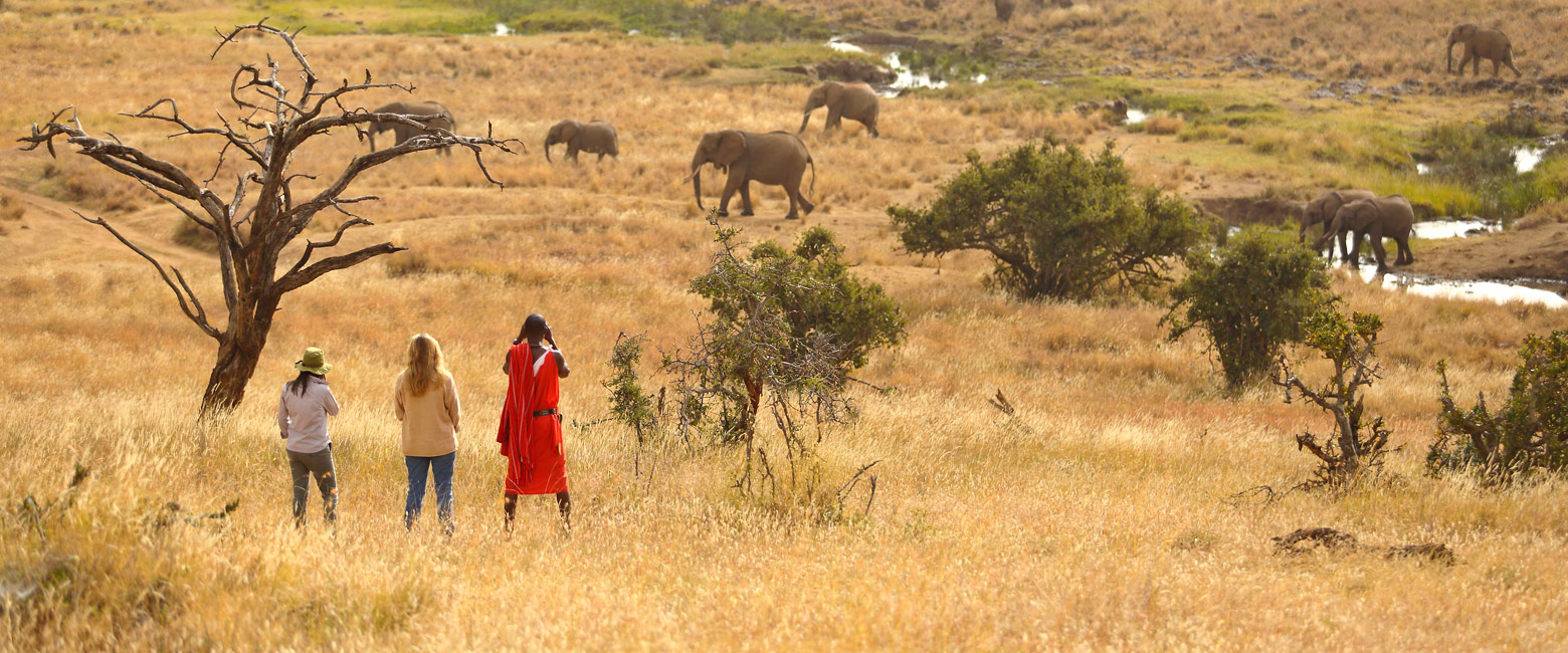 is a high quality option in the Lewa Downs area