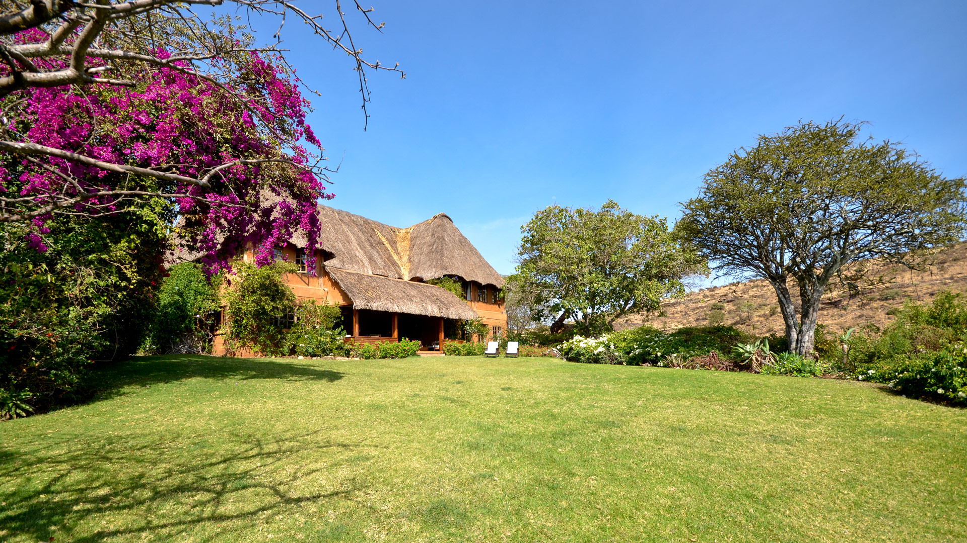 Lewa Wilderness Lodge