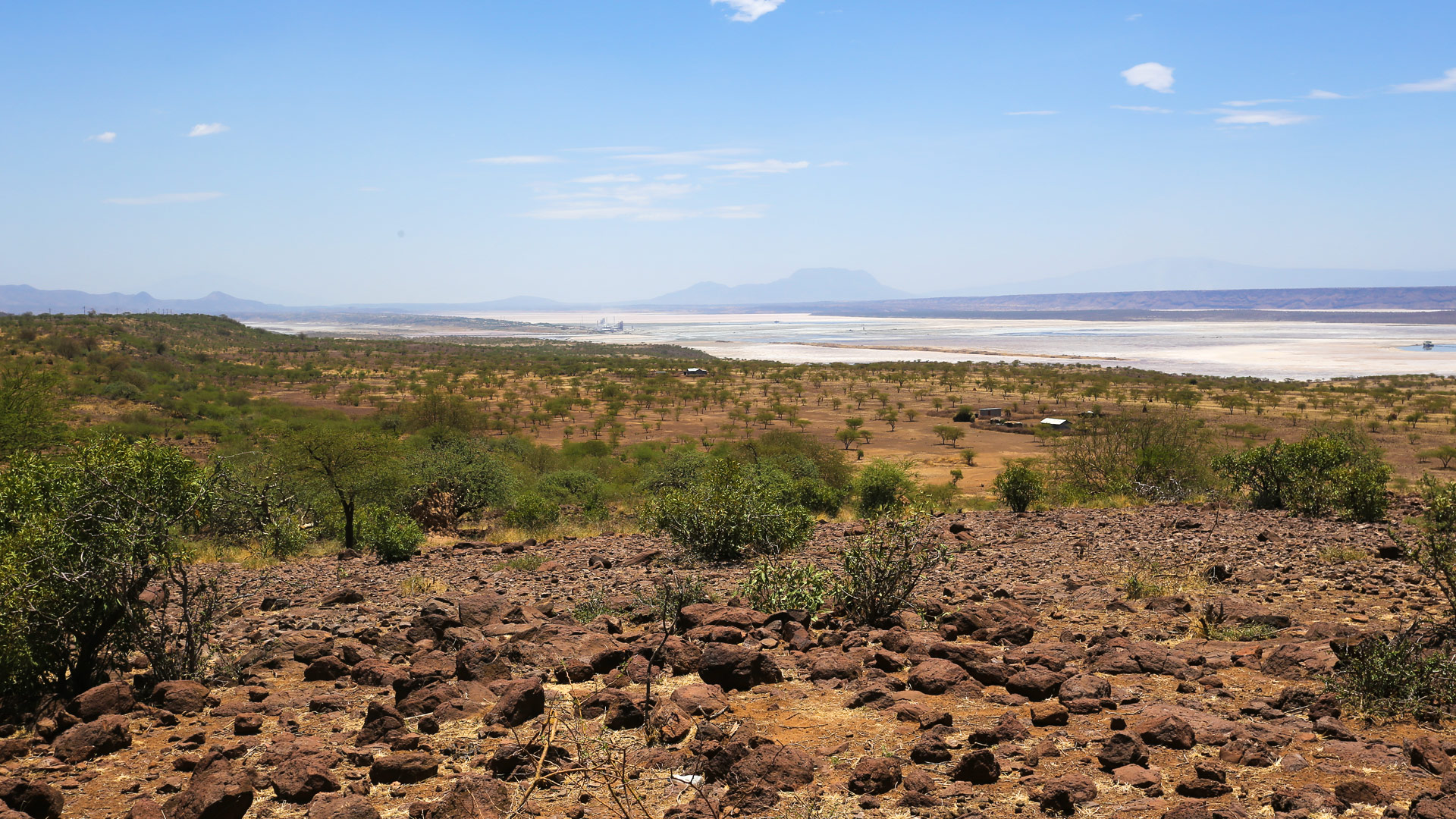Safari in Lake Magadi