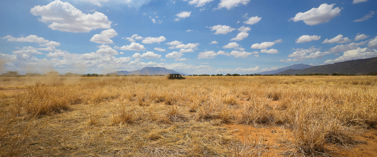 let us know your thoughts about Kenya and we will help you create the perfect safari
