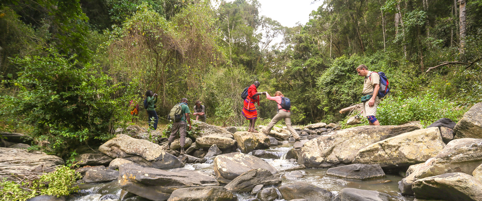 let us know your thoughts about Kenya and we will help you create the perfect safari