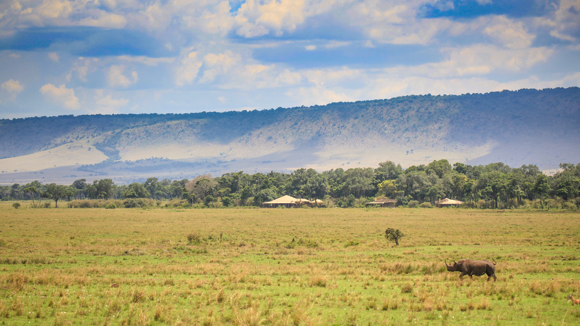 Safari to Mara Confluence