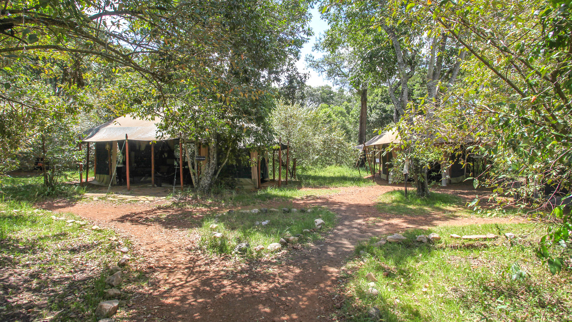 Mara Bush Camp