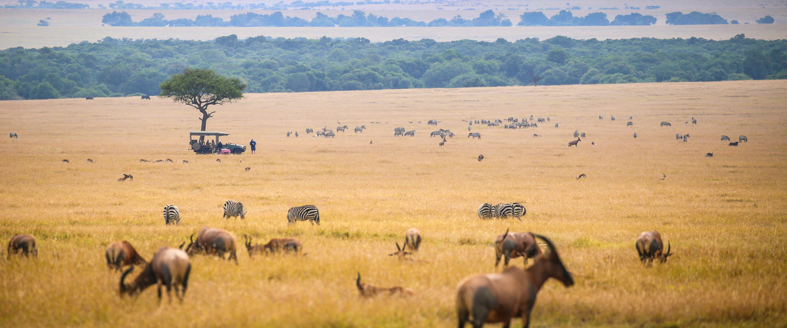 let us know your thoughts about Kenya and we will help you create the perfect safari