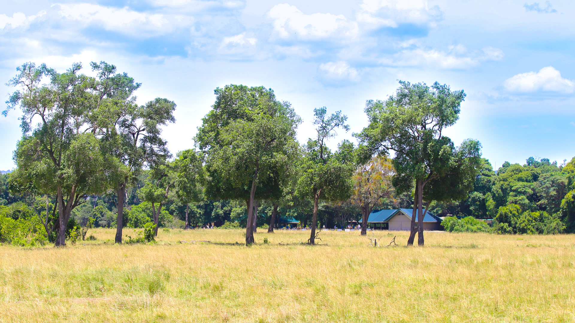 Governors Camp
