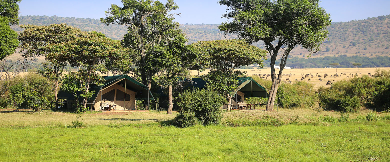 is a pleasant camp in the Maasai Mara 
