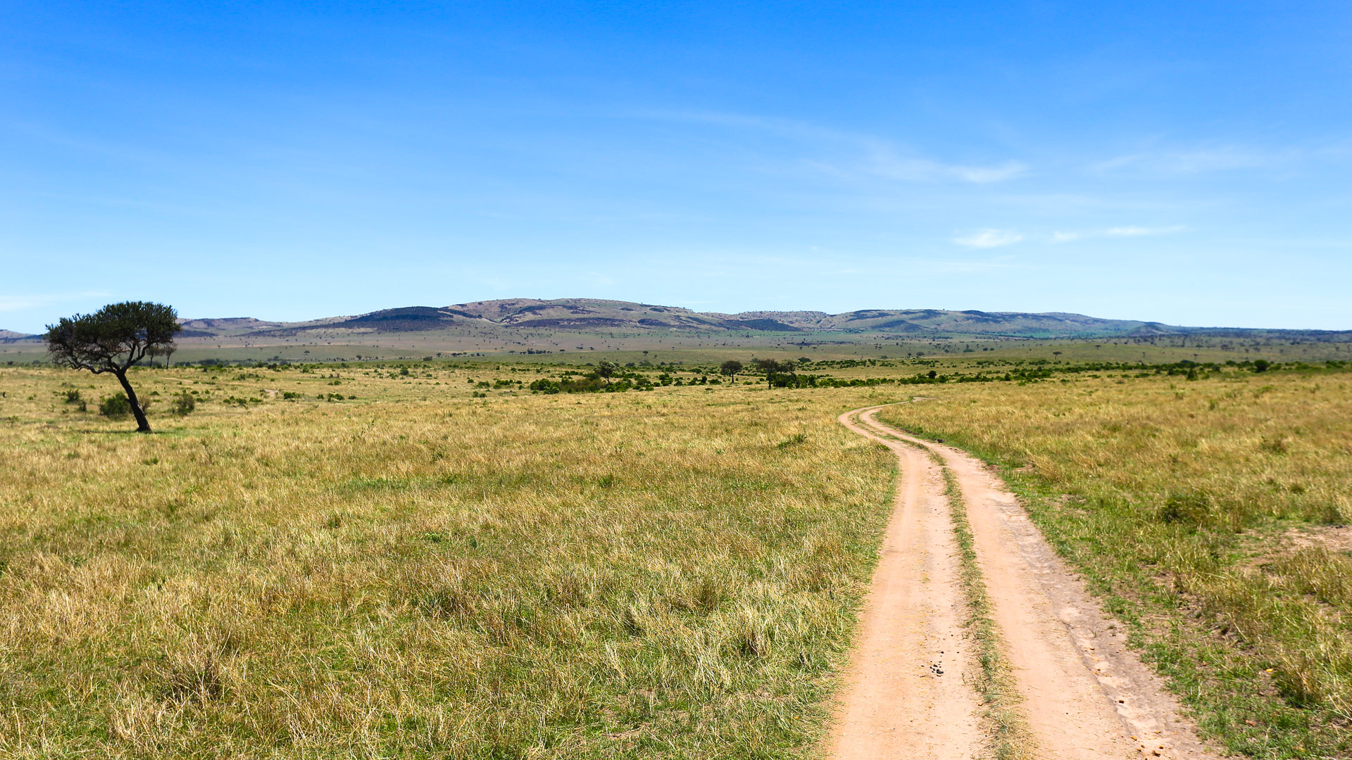 Safari to Mara Keekorok