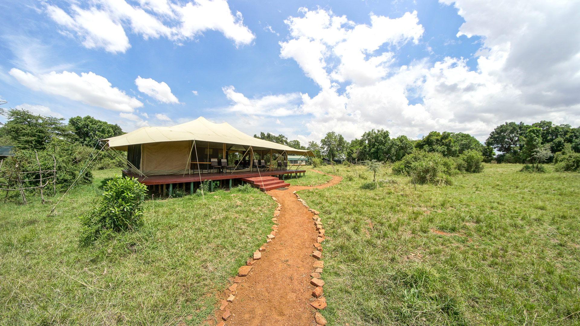Porini Lion Camp