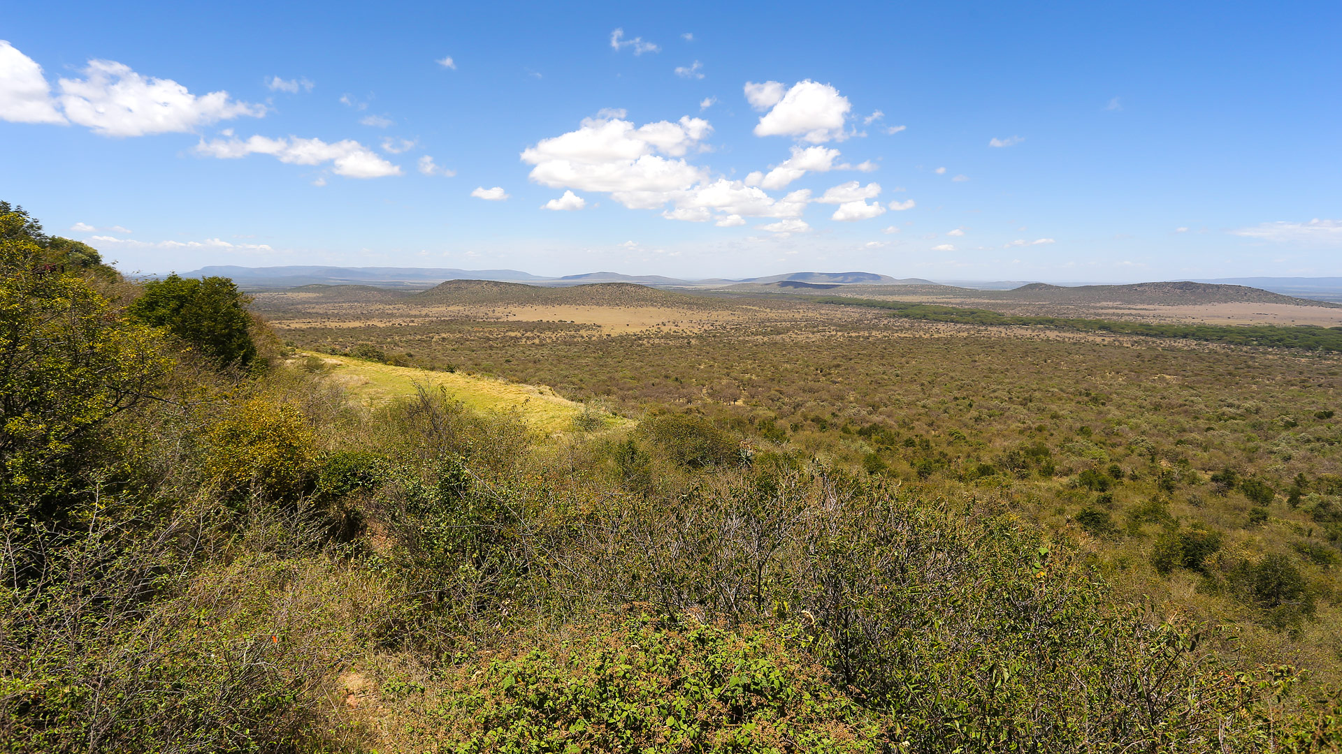 Safari to Mara Olarro