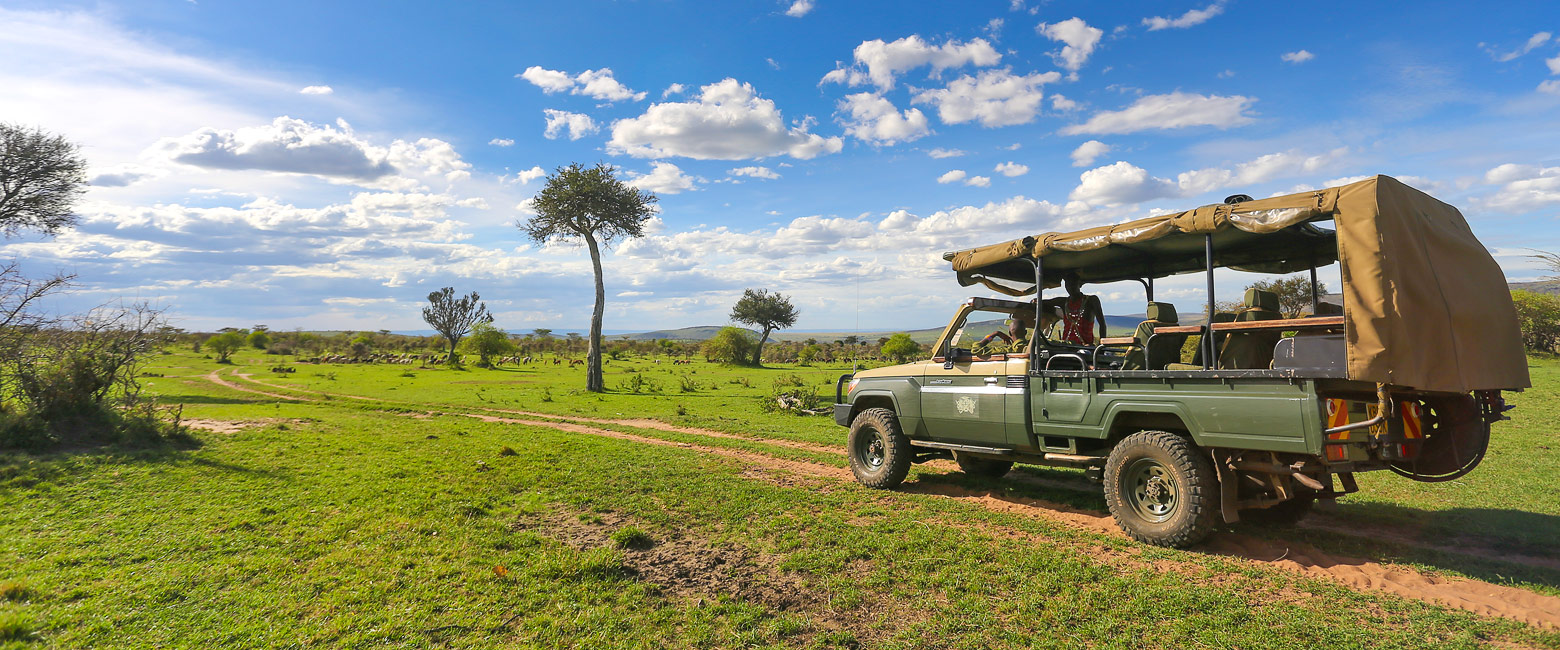 let us know your thoughts about Kenya and we will help you create the perfect safari 