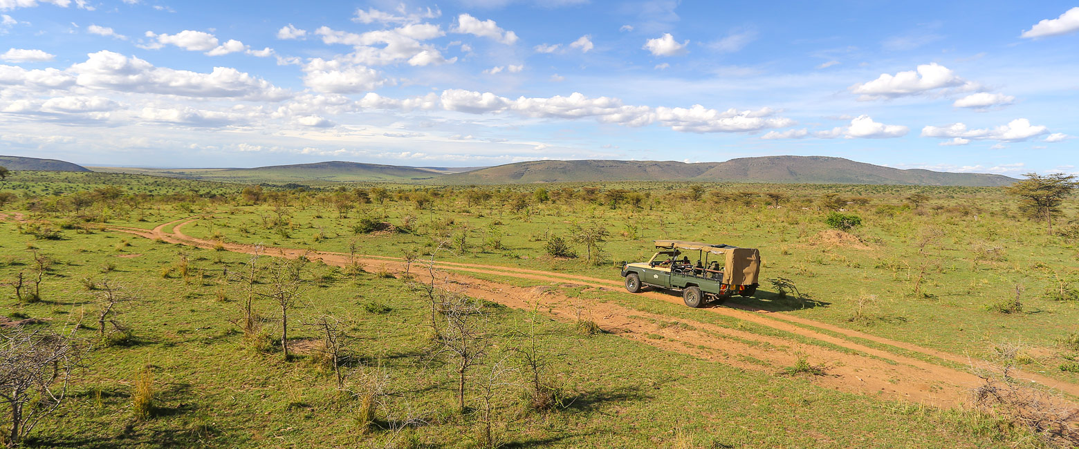 let us know your thoughts about Kenya and we will help you create the perfect safari 