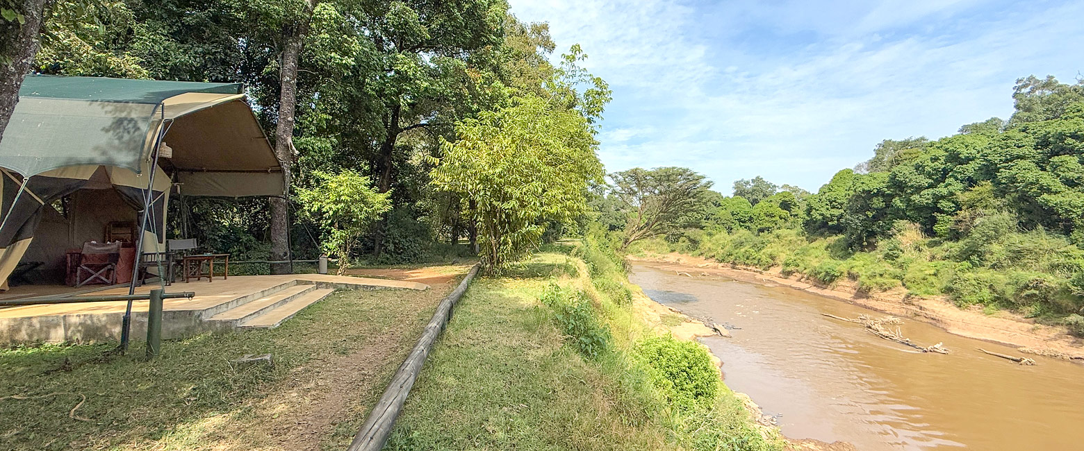 is a famous old institution in the Maasai Mara 