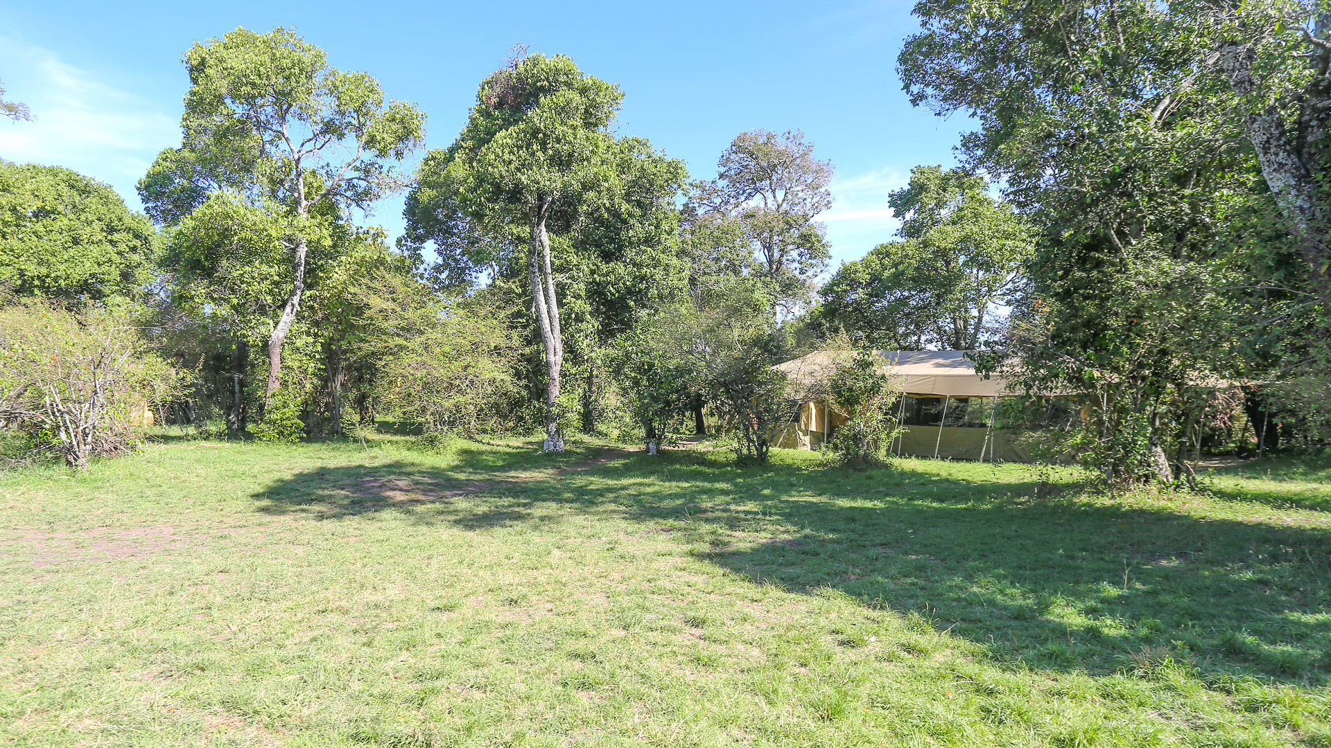 Leleshwa Mobile Camp