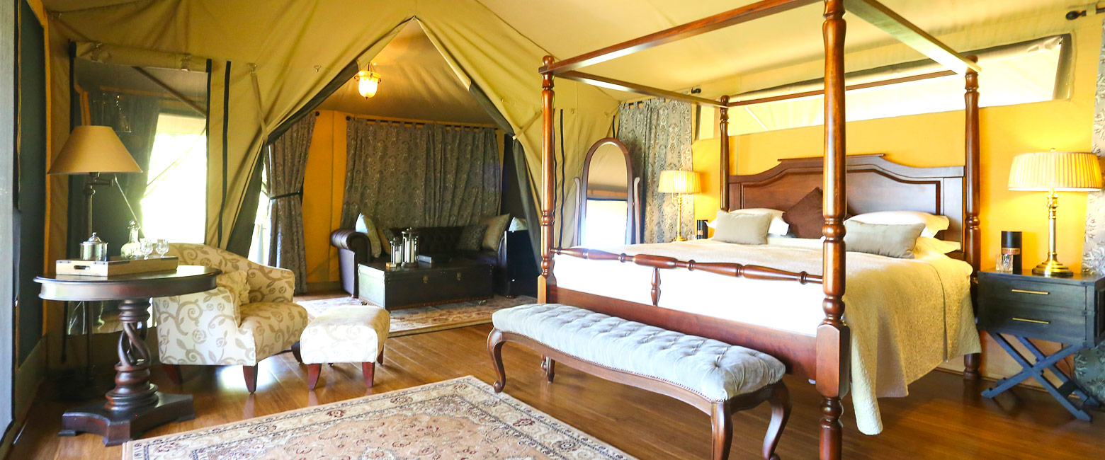 is a comfortable option in the Maasai Mara area 