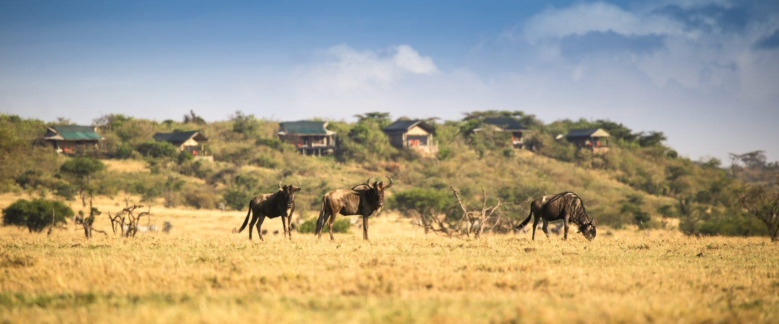is one of the best private areas in the greater Maasai Mara