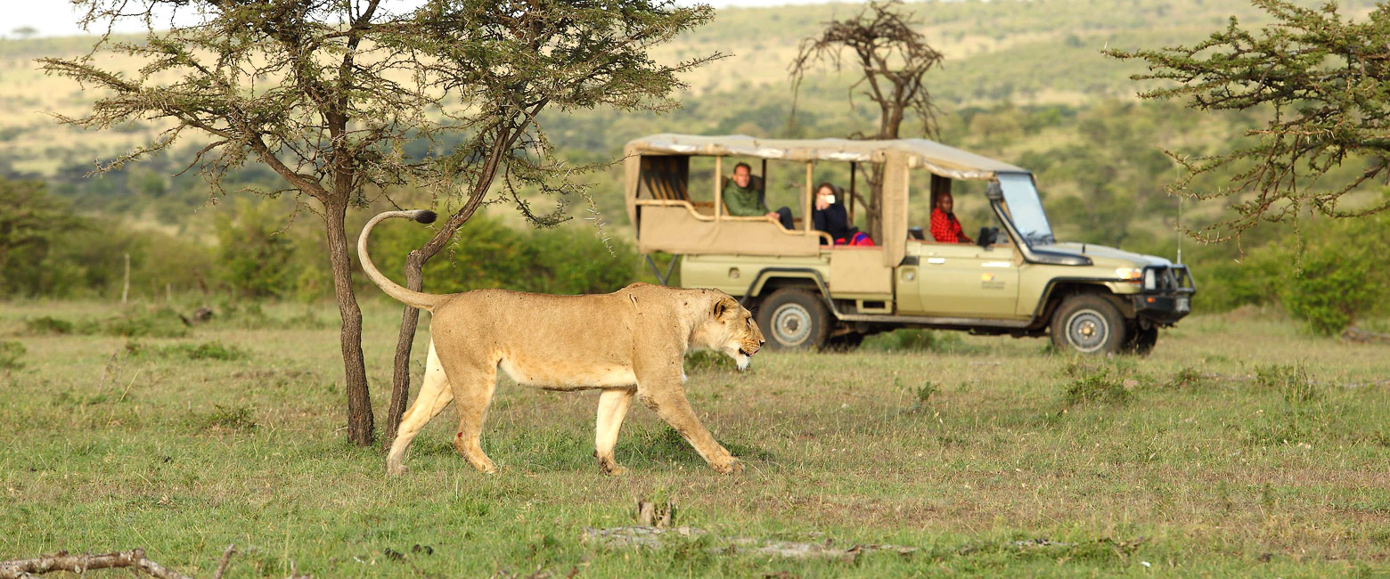 let us know your thoughts about Kenya and we will help you create the perfect safari
