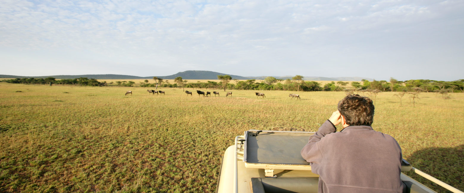 let us know your thoughts about Kenya and we will help you create the perfect safari