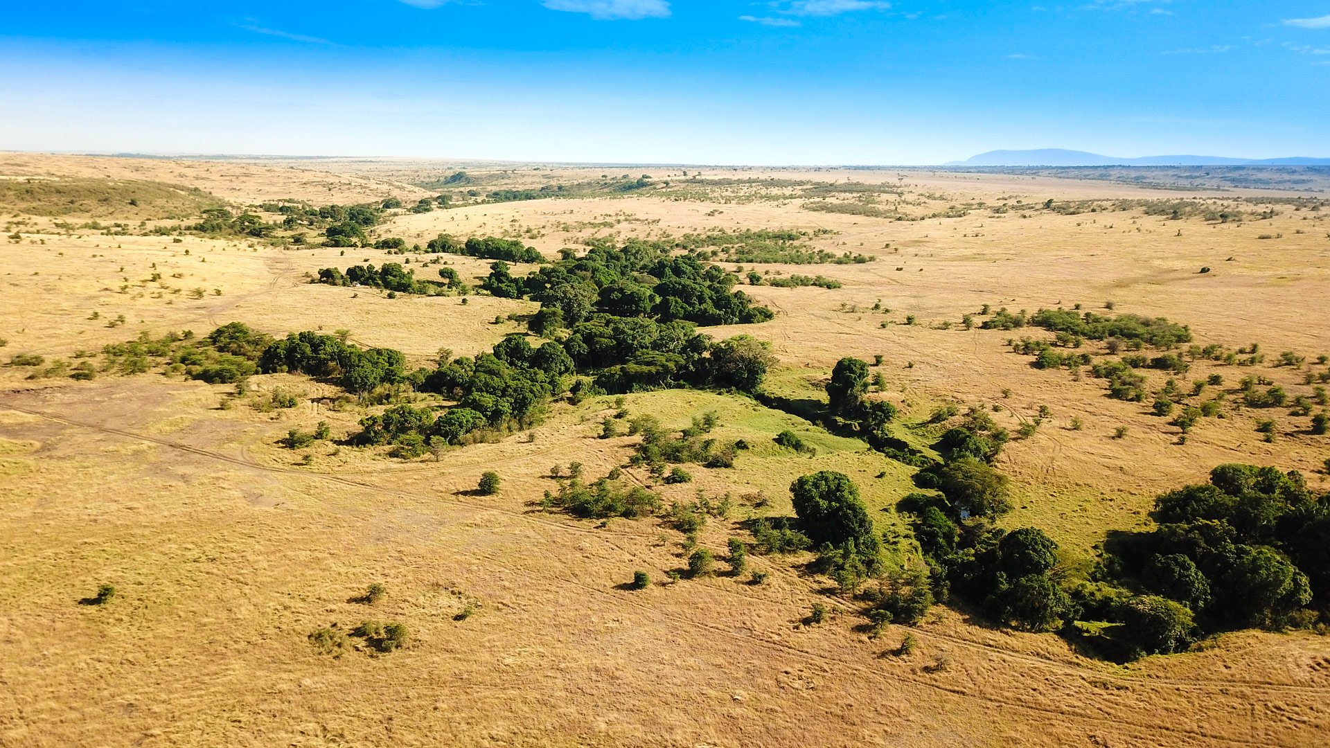 Safari to Mara North
