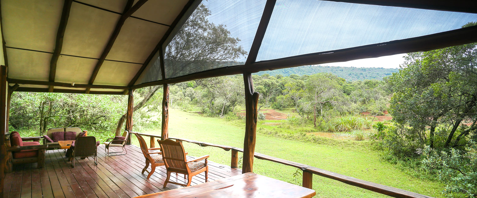 let us know your thoughts about Kenya and we will make sure to deliver the perfect safari 