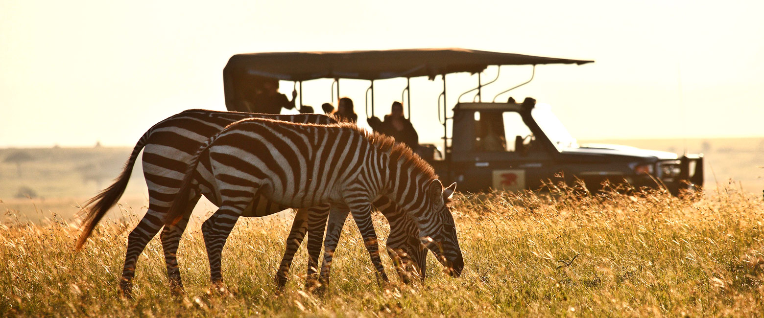 let us know your thoughts about Kenya and we will help you create the perfect safari