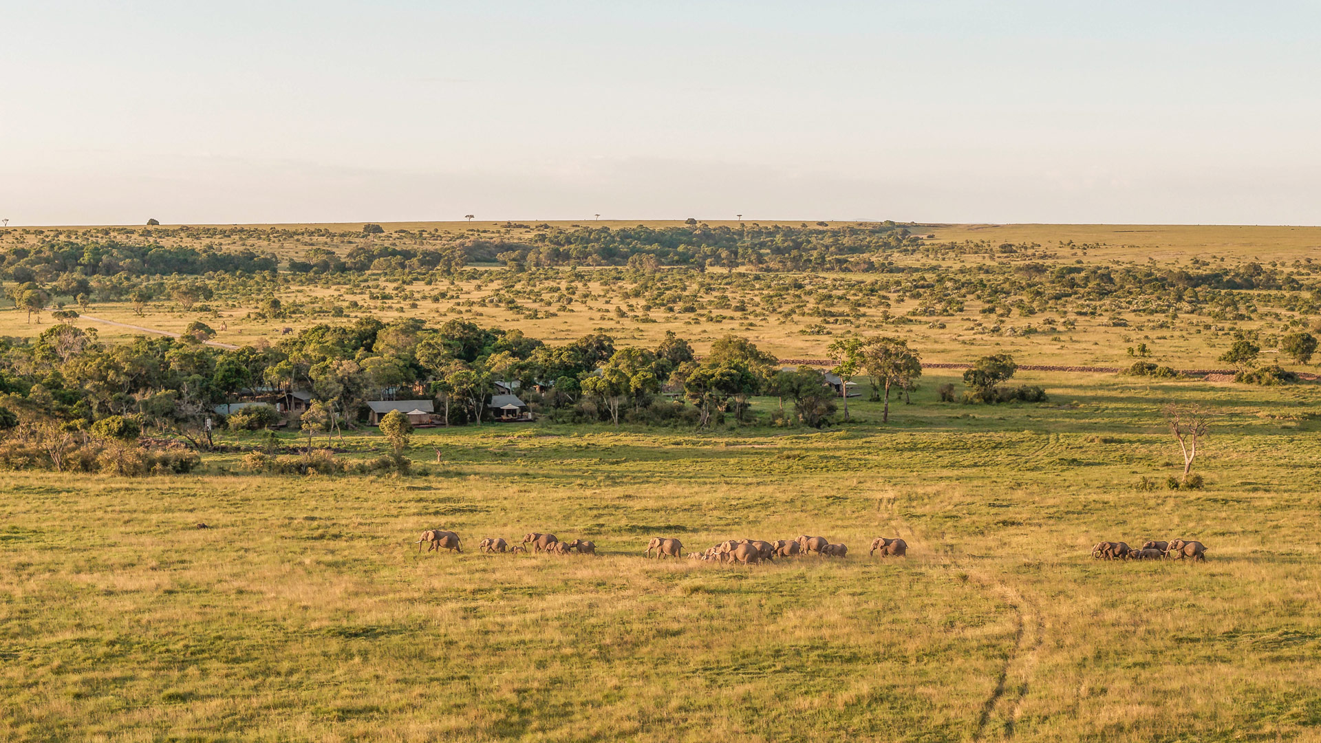 Little Elephant Pepper Camp